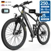 Aairsk EU Warehouse ODM OEM New Model 26'' Electric Bike 250W Bike Moped Style Electric Bike