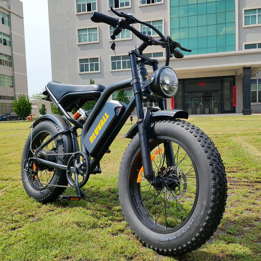 US Warehouse 20 Inch Fat Tire E-bike Steel Alloy Frame 7 Speed 48v 20ah Removable Lithium Battery Multipurpose Electric Bicycle