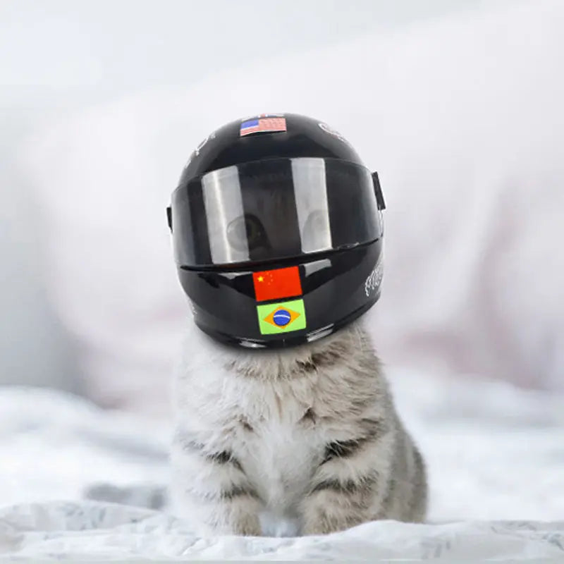 Motorcycle Meow Special Pet  Cat Helmet Handsome Mini Bike Hat Small Dog Safety Hat Motorcycle