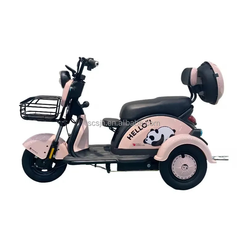 48V 800W BPA-5 Electric Tricycle 3 Wheel Mopeds for Adults Slingshot Motorcycle 3 Wheel Kids 3 Tekerlekli Motosiklet Open 100kg