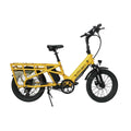C064 Dynem Electric Bicycles for Adults Electric Dirt Bike High Power Bike High-power Electric Bikes Ebike for Sale