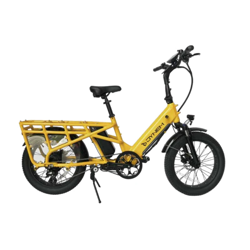 C064 Dynem Electric Bicycles for Adults Electric Dirt Bike High Power Bike High-power Electric Bikes Ebike for Sale