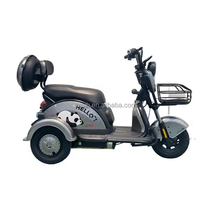 48V 800W BPA-5 Electric Tricycle 3 Wheel Mopeds for Adults Slingshot Motorcycle 3 Wheel Kids 3 Tekerlekli Motosiklet Open 100kg