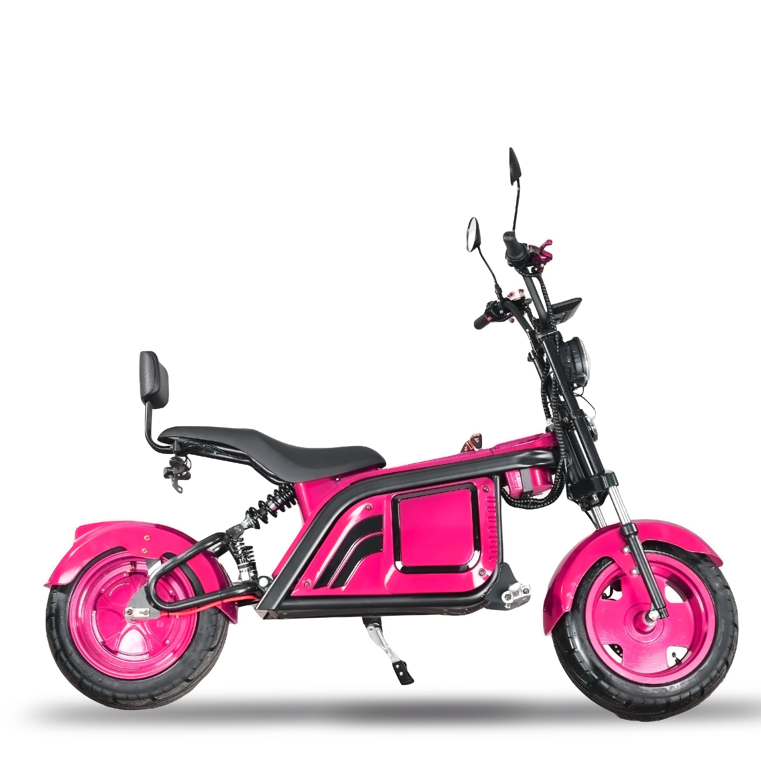 EEC COC Two Wheel Electric Moped with Sidecar 12 Inch 60V Brushless Motor 80km/h 2000-3000W Lithium Battery Unisex