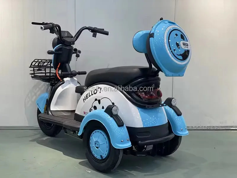 48V 800W BPA-5 Electric Tricycle 3 Wheel Mopeds for Adults Slingshot Motorcycle 3 Wheel Kids 3 Tekerlekli Motosiklet Open 100kg
