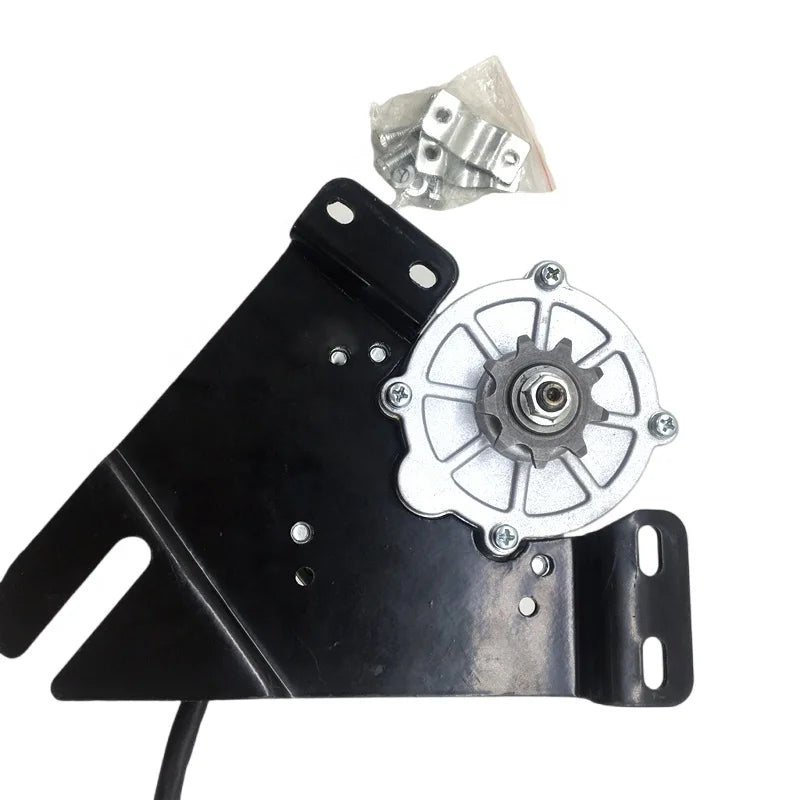 24V 36V 250W MY1016z Brushed DC Motor with Mounting Plate for Electric Moped