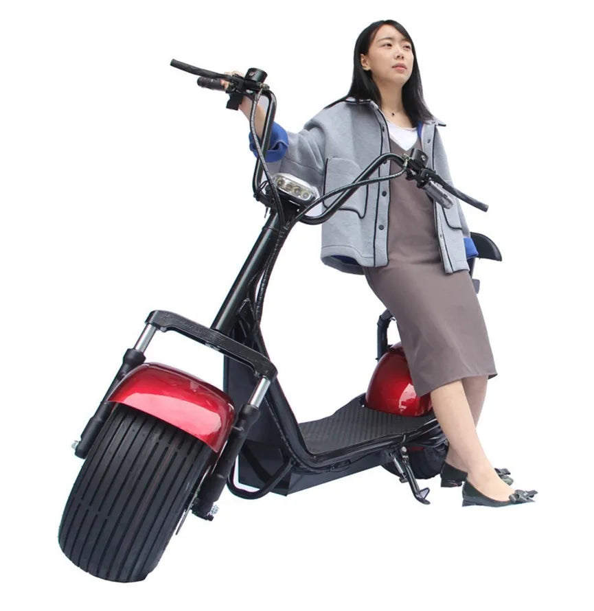 2026 CE EEC COC Approved Electric Tricycle Moped Two Wheel Mobility Scooter