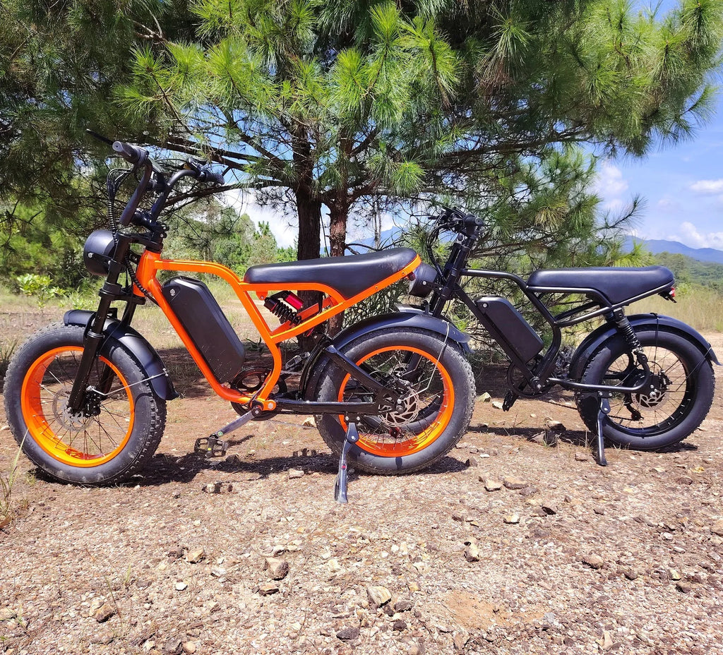 52v Emtb Retro 1200W 20AH Electric Bicycle Cycle Road Dirt Fat Tire E Bike 20" * 4.0 Ebike Electric Mountain Bike