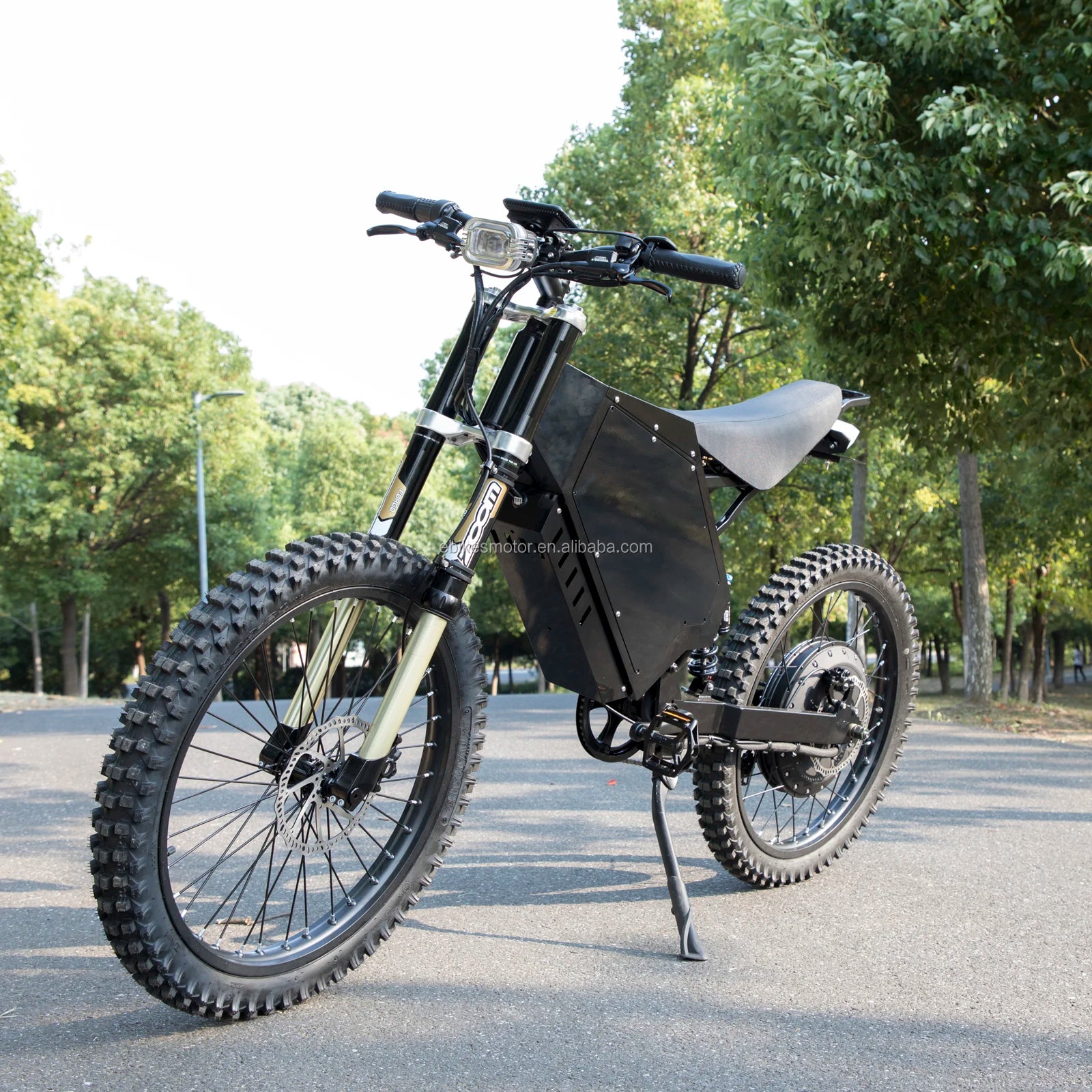 US Warehouse Adult 3000w 5000w Electric Bike /fat Tire Electric Bicycle/Moped With Pedal 8000w 15000w Drop Shipping EBike