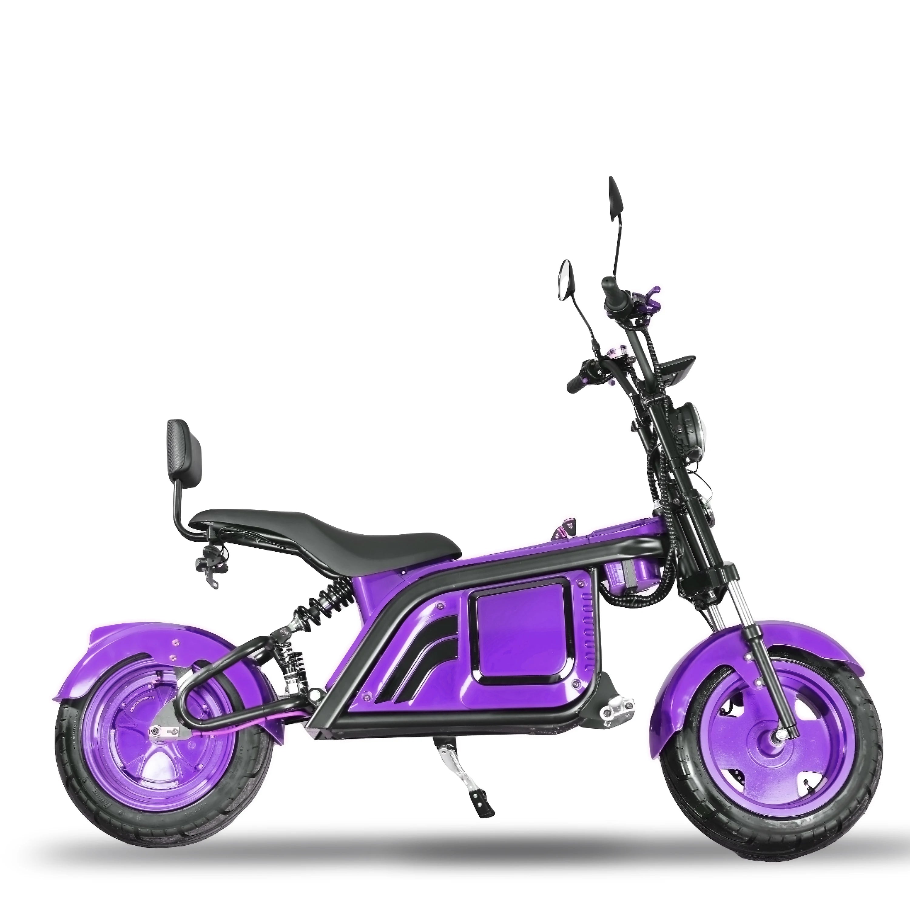 EEC COC Two Wheel Electric Moped with Sidecar 12 Inch 60V Brushless Motor 80km/h 2000-3000W Lithium Battery Unisex