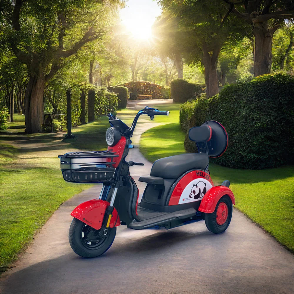 48V 800W BPA-5 Electric Tricycle 3 Wheel Mopeds for Adults Slingshot Motorcycle 3 Wheel Kids 3 Tekerlekli Motosiklet Open 100kg