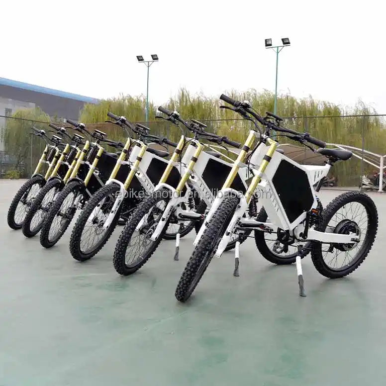 US Warehouse Adult 3000w 5000w Electric Bike /fat Tire Electric Bicycle/Moped With Pedal 8000w 15000w Drop Shipping EBike