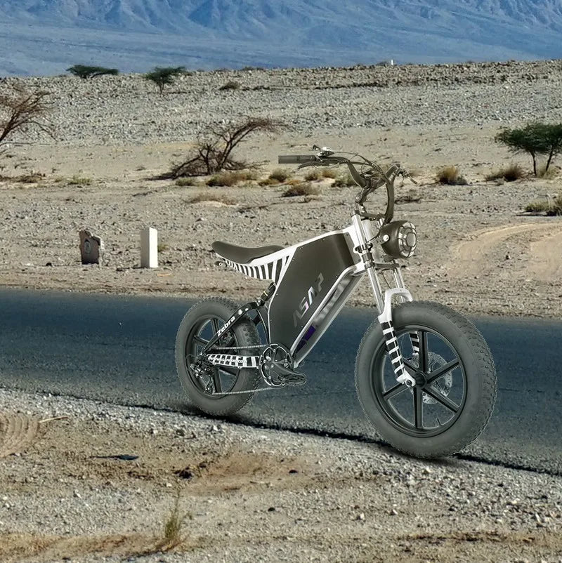 Daily Commuting Hybrid Bicycle Equipped 20 Inch Fat Tire 1000W Motor Powerful Adult Electric Dirt Bike