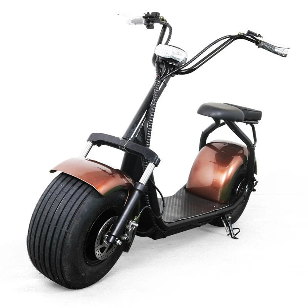 2026 CE EEC COC Approved Electric Tricycle Moped Two Wheel Mobility Scooter