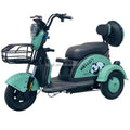 48V 800W BPA-5 Electric Tricycle 3 Wheel Mopeds for Adults Slingshot Motorcycle 3 Wheel Kids 3 Tekerlekli Motosiklet Open 100kg