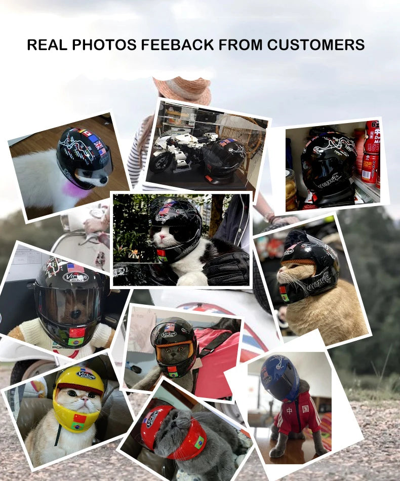 Motorcycle Meow Special Pet  Cat Helmet Handsome Mini Bike Hat Small Dog Safety Hat Motorcycle