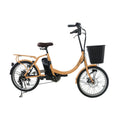 C074 DIANA Dynem E-bike Pedal Assist Dual Battery Tire Electric Mountain Bike With attractive design and customsiations