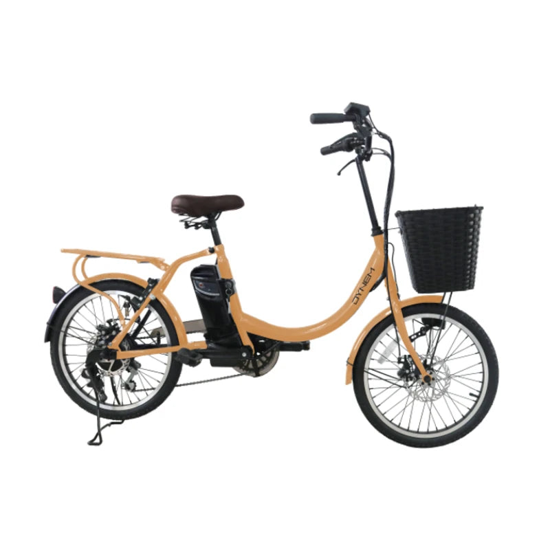 C074 DIANA Dynem E-bike Pedal Assist Dual Battery Tire Electric Mountain Bike With attractive design and customsiations
