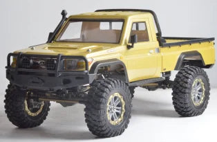 Two Speed Waterproof 1/10 Scale Remote Control RC Car